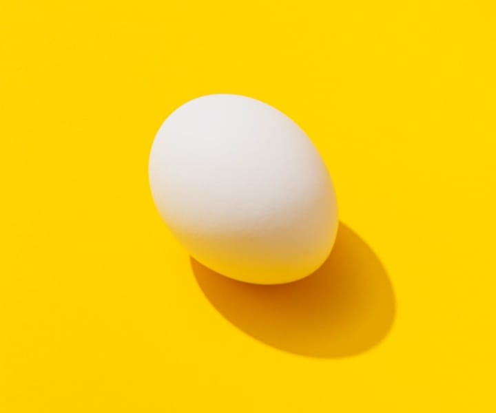 image of an egg in a vibrant yellow background